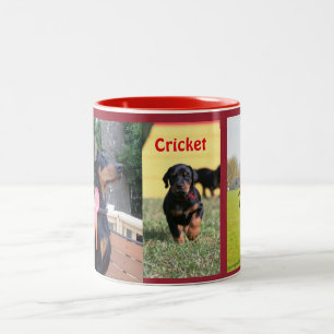De Café Em Dois Tons Caneca do grilo