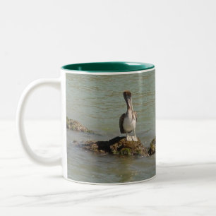 De Café Em Dois Tons Caneca do pelicano