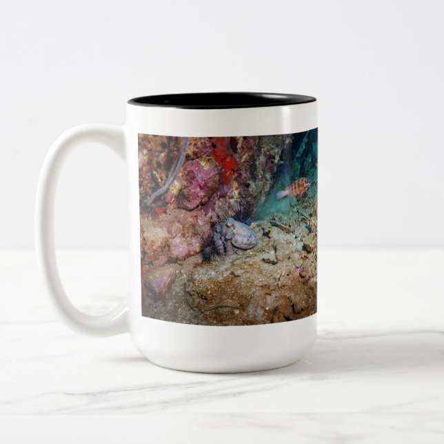 De Café Em Dois Tons Caneca do Polvo (Esquerda)