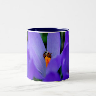 De Café Em Dois Tons Caneca Feliz Primavera