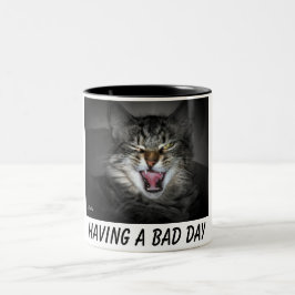 De Café Em Dois Tons Caneca Gato Mal-Humorado
