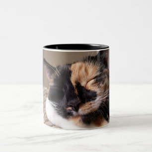 De Café Em Dois Tons Caneca preguiçosa do gato