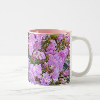 De Café Em Dois Tons Envolvido na caneca das azáleas