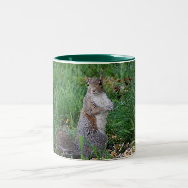 De Café Em Dois Tons Esquilo que senta-se acima da caneca (Centro)