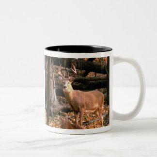 DE CAFÉ EM DOIS TONS FANFARRÃO ENORME!  CANECA
