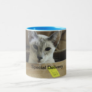 De Café Em Dois Tons Gato Eyed azul da entrega especial na caneca da