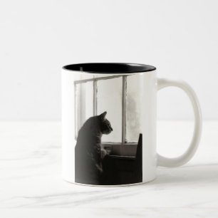 De Café Em Dois Tons Gatos na caneca da janela