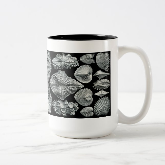 De Café Em Dois Tons Haeckel descasca a caneca (Direita)