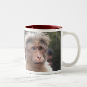 De Café Em Dois Tons Macaco que olha a caneca