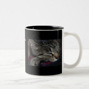 De Café Em Dois Tons Minhas crianças todas têm as patas! Caneca do ga