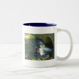 De Café Em Dois Tons Ponte sobre a caneca incomodada das águas