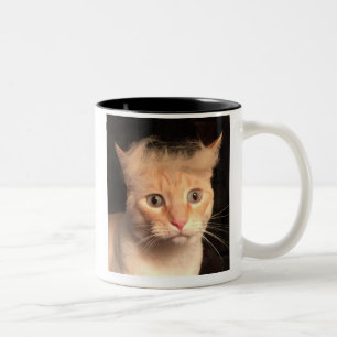 De Café Em Dois Tons Trunfo sua caneca do gato