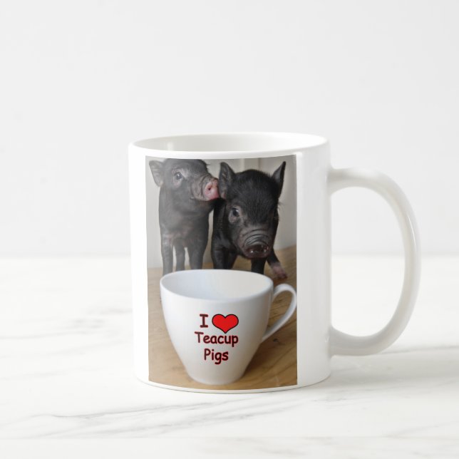 De Café Eu amo a caneca dos porcos do Teacup (Direita)