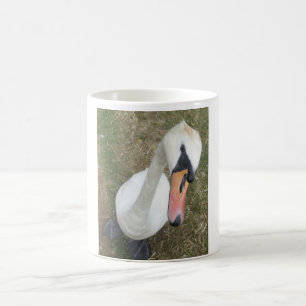 De Café Fechamento do Cisne Branco em uma caneca