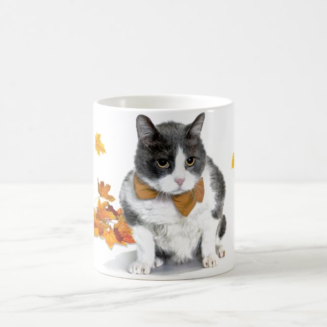 De Café Felix: a caneca temático do gatinho novembro (Centro)
