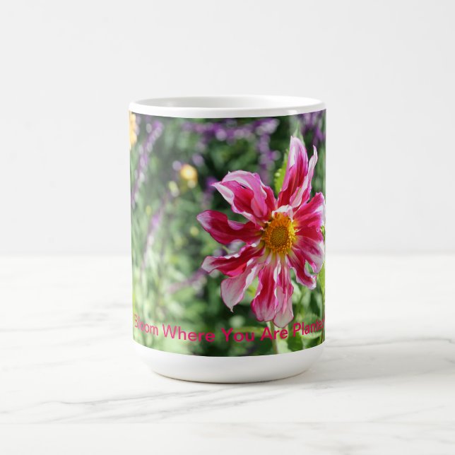 De Café Flor onde você é caneca plantada (Centro)