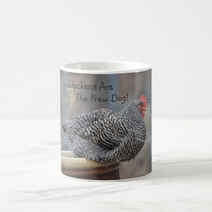 De Café Galinhas São A Nova Caneca