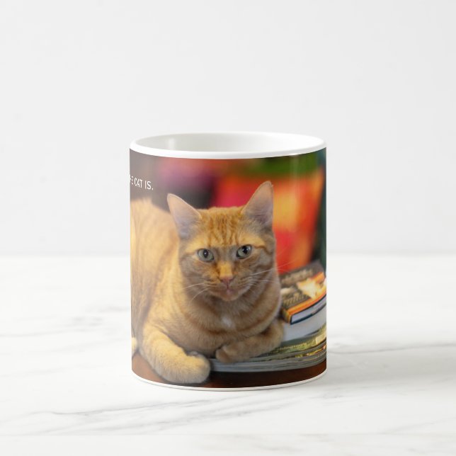 De Café Gato da laranja da caneca (Centro)