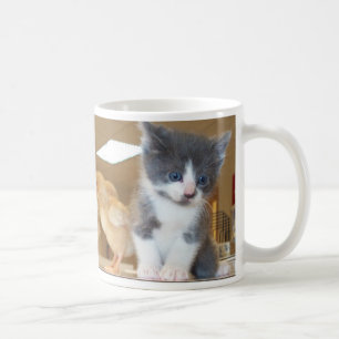 De Café Gato do monstro - gatinho com caneca dos pintinhos