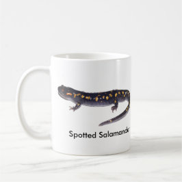 De Café Homem manchado da salamandra contra a caneca fêmea