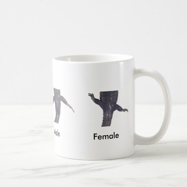 De Café Homem manchado da salamandra contra a caneca fêmea (Direita)