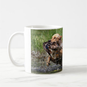 De Café Labrador retriever amarelo com caneca do pato