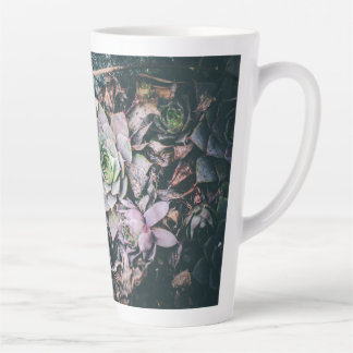 De Café Latte Caneca Suculenta