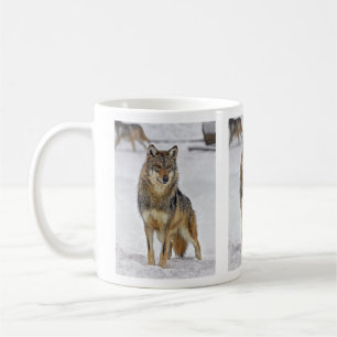 De Café Lobo na caneca do relógio