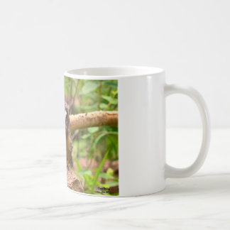 De Café O bebê viu para whet a caneca das corujas