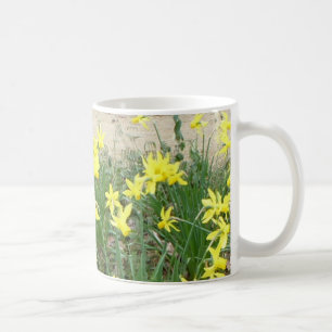 De Café O Daffodil panorâmico floresce a caneca