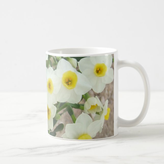 De Café O narciso branco floresce a caneca (Direita)