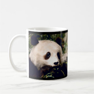 De Café PANDA doce personalizada da caneca que MUNCHING no