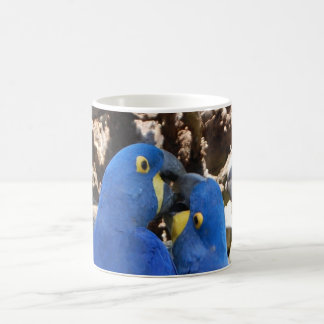 De Café pererecas da caneca