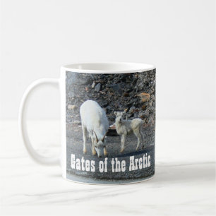 De Café Portas da caneca ártica