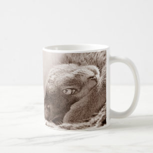 De Café Prateie a caneca do gato