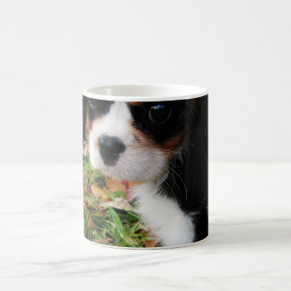 De Café Rei Charles Cavalier Spaniel Caneca