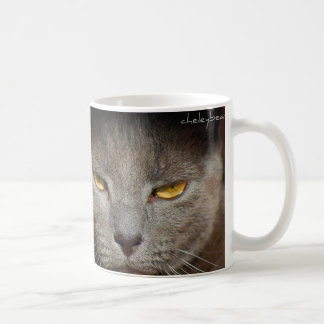 De Café Smokey a caneca do gato