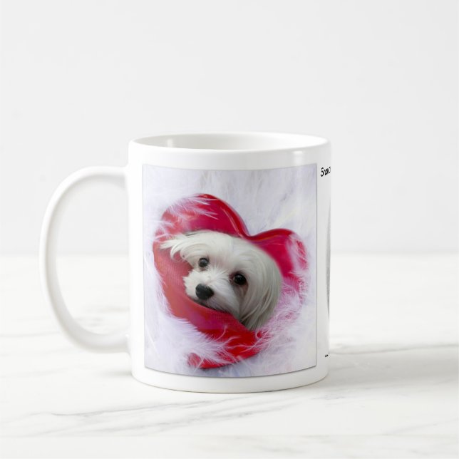 De Café Snowdrop a caneca maltesa (Esquerda)