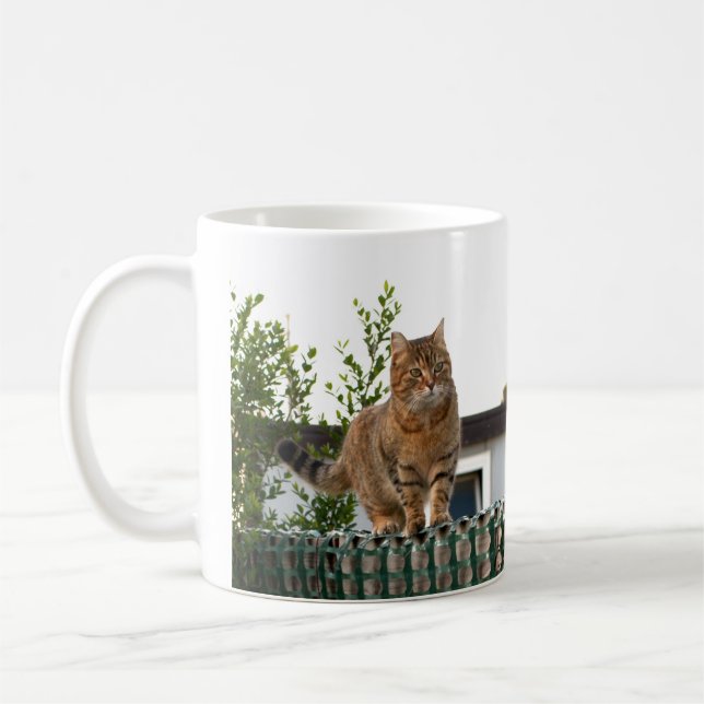 De Café um gato em uma caneca (Esquerda)