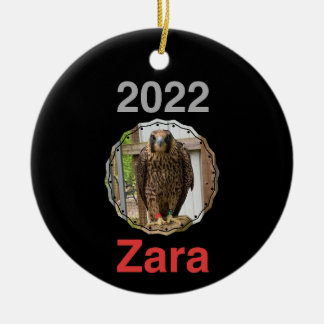 De Cerâmica 2022 Ornamento do Círculo Cerâmico Zara