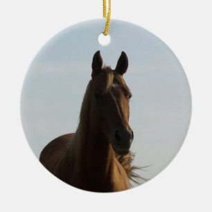 De Cerâmica A beleza é um ornamento para o Cavalo