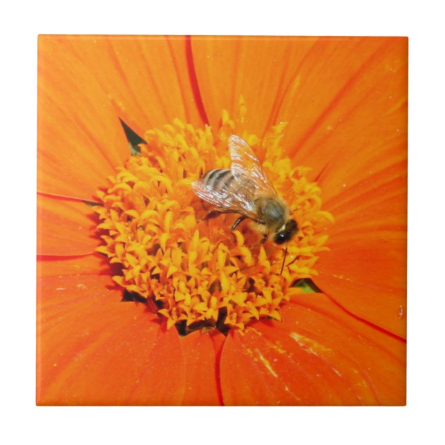 De Cerâmica abelha sobre azulejo laranja (Frente)