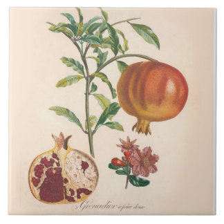 De Cerâmica Acento decorativo da cozinha do azulejo da romã