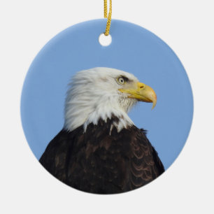 De Cerâmica Águia, fauna selvagem, aves, ornamento cerâmico