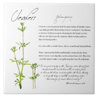 De Cerâmica Apotecário Herbal: Cleavers | Azulejo cerâmico