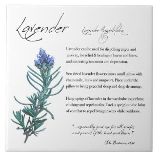 De Cerâmica Apotecário Herbal: Lavanda | Azulejo cerâmico
