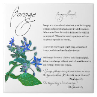 De Cerâmica Apothecary Herbal: Boragem | Azulejo cerâmico