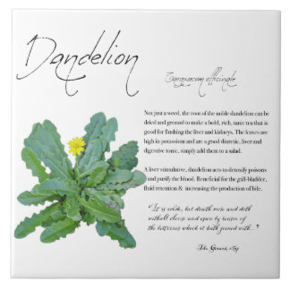 De Cerâmica Apothecary Herbal: Dandelion | Azulejo cerâmico