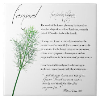 De Cerâmica Apothecary Herbal: Fennel | Azulejo cerâmico