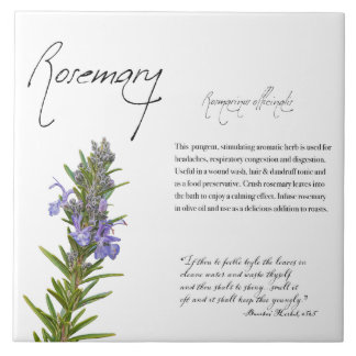 De Cerâmica Apothecary Herbal: Rosemary | Azulejo botânico